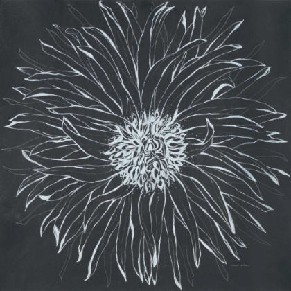 Picture of CHALK BLOOM 1