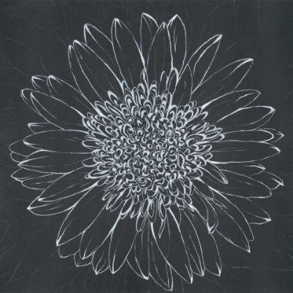 Picture of CHALK BLOOM 2