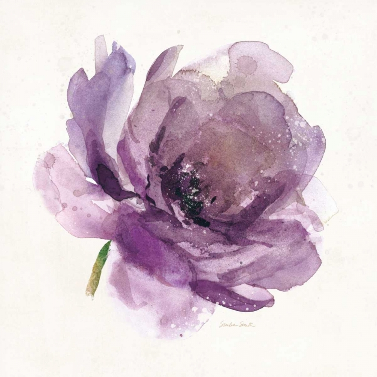 Picture of WATERY PLUM BLOOM 1