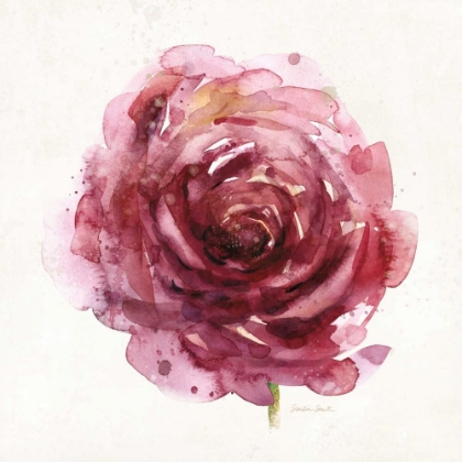 Picture of WATERY RED BLOOM 1