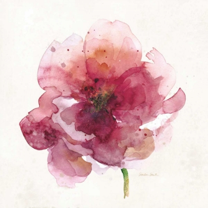 Picture of WATERY RED BLOOM 2