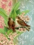 Picture of FINCHES AND BLOSSOMS