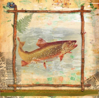 Picture of TROUT NATURE