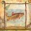 Picture of TROUT NATURE