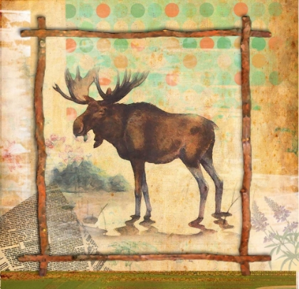 Picture of MOOSE NATURE