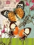 Picture of BOUNTIFUL BUTTERFLY 1
