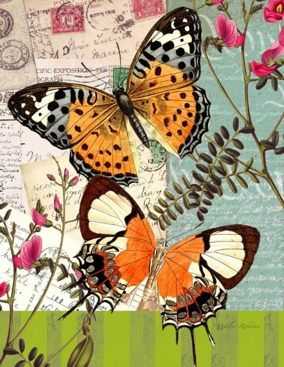 Picture of BOUNTIFUL BUTTERFLY 1