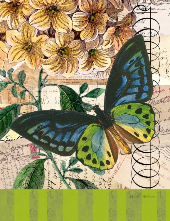 Picture of BOUNTIFUL BUTTERFLY 2