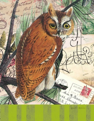 Picture of CURIOUS OWL 2