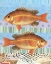 Picture of DOUBLE FISH FLOURISH