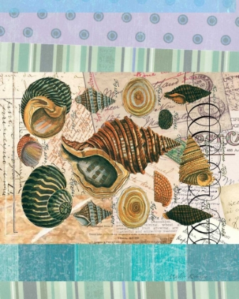 Picture of NAUTILUS ELEMENTS