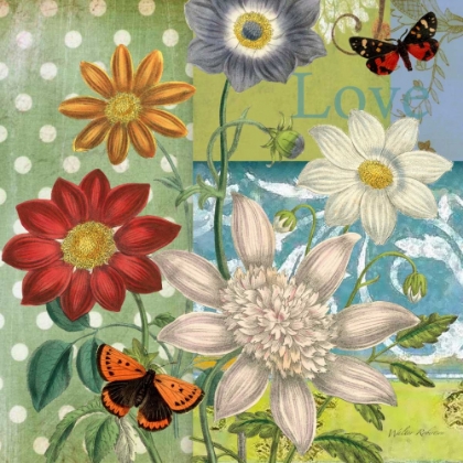 Picture of POLKA DOT DAISY