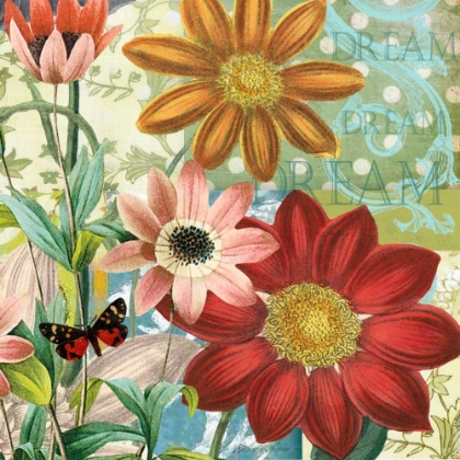 Picture of POLKA DOT DAHLIA