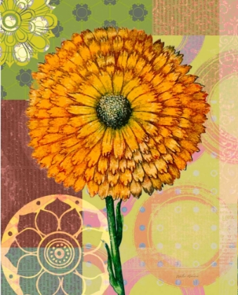 Picture of ZINNIA STORY