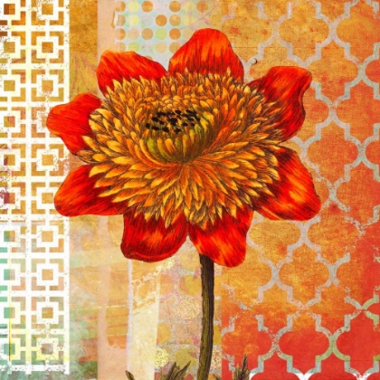 Picture of COLORFUL DAHLIA