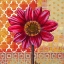 Picture of BRIGHT DAHLIA