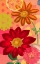 Picture of BRILLIANT GARDEN 1