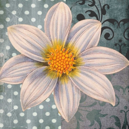 Picture of POLKA DOT DAHLIA 1