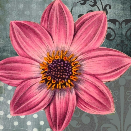 Picture of POLKA DOT DAHLIA 2