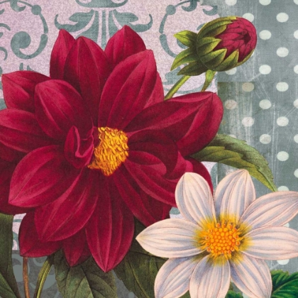 Picture of RED DAHLIA