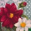 Picture of RED DAHLIA