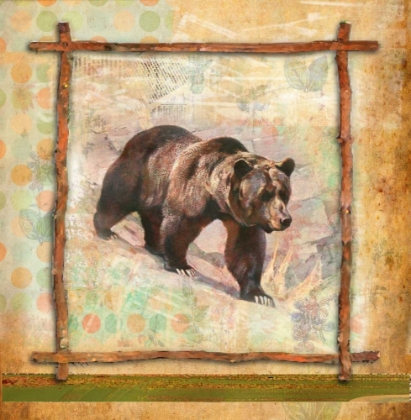 Picture of BEAR NATURE