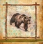 Picture of BEAR NATURE