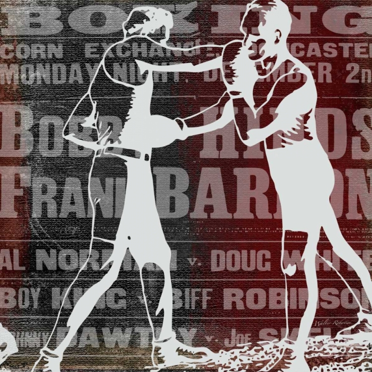 Picture of BOXER STORY 1