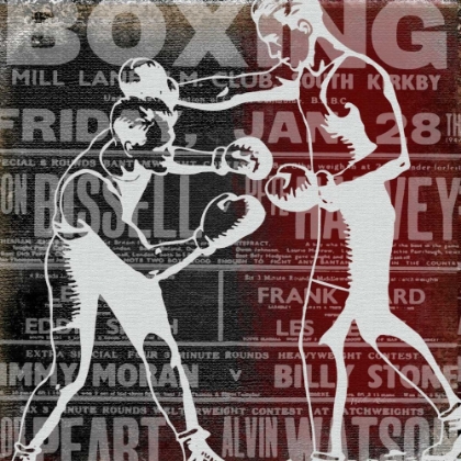 Picture of BOXER STORY 3