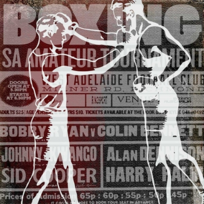 Picture of BOXER STORY 4