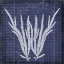 Picture of SEAWEED DOCUMENT 1