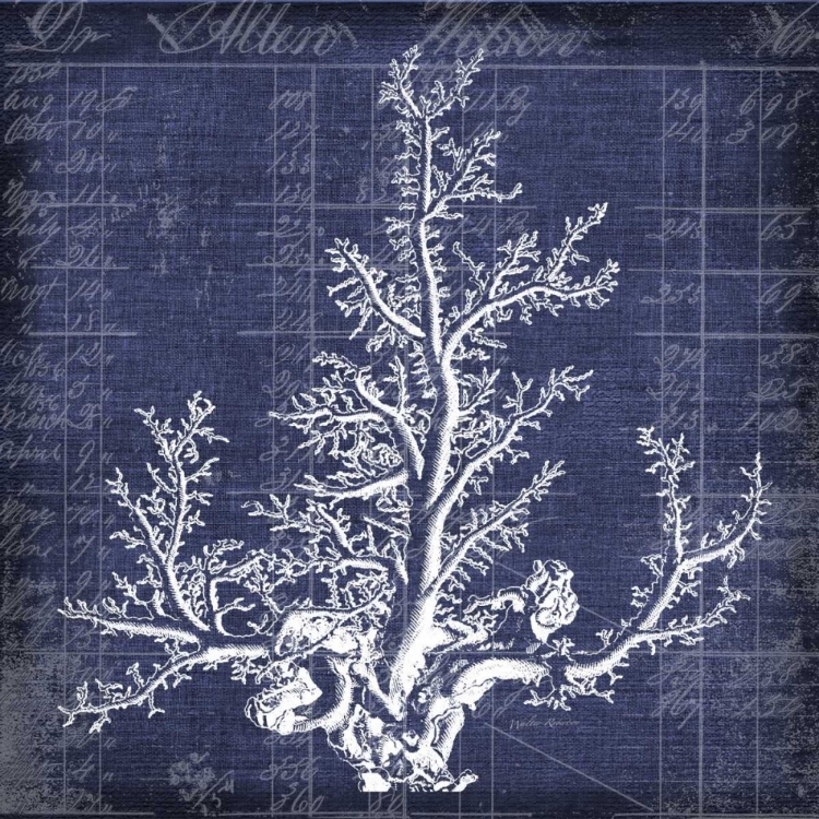 Picture of SEAWEED DOCUMENT 2