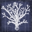 Picture of SEAWEED DOCUMENT 4