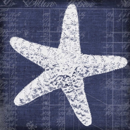 Picture of BLUE PRINT STAR FISH