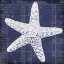 Picture of BLUE PRINT STAR FISH
