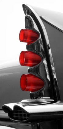 Picture of GRAY TAILFIN