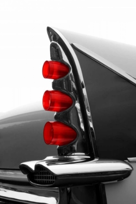 Picture of GRAY TAILFIN