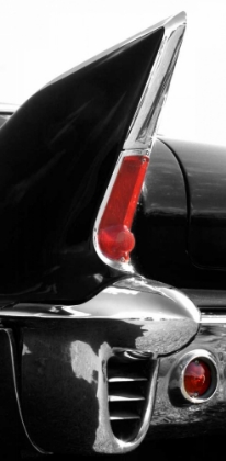 Picture of BLACK TAILFIN