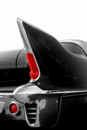 Picture of BLACK TAILFIN