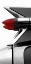 Picture of CHARCOAL TAILFIN