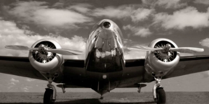 Picture of RUNWAY GLORY