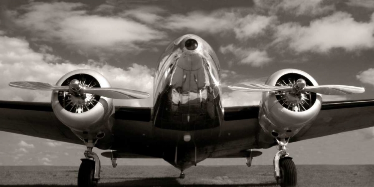 Picture of RUNWAY GLORY