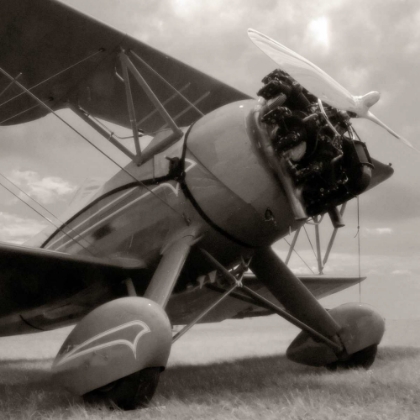 Picture of DREAMS OF FLYING
