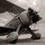 Picture of DREAMS OF FLYING