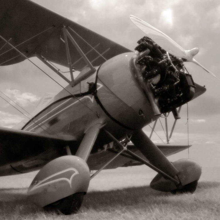 Picture of DREAMS OF FLYING