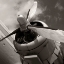 Picture of TOWARDS THE SKY