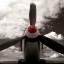 Picture of FLIGHT PATH