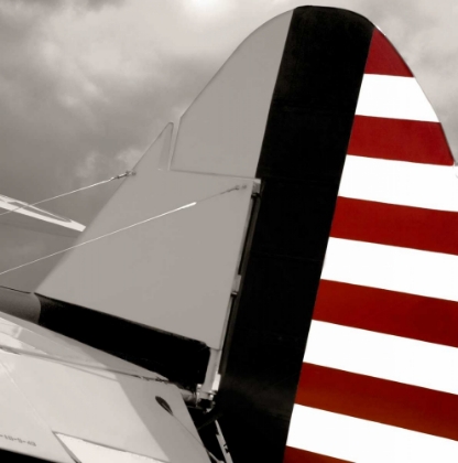 Picture of FLIGHT READY