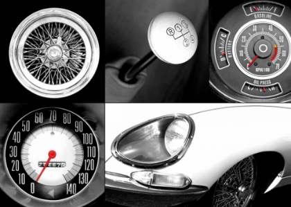 Picture of SPEED 