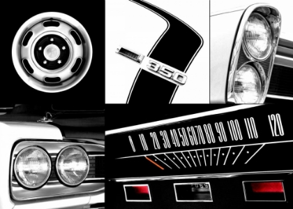 Picture of MUSCLE
